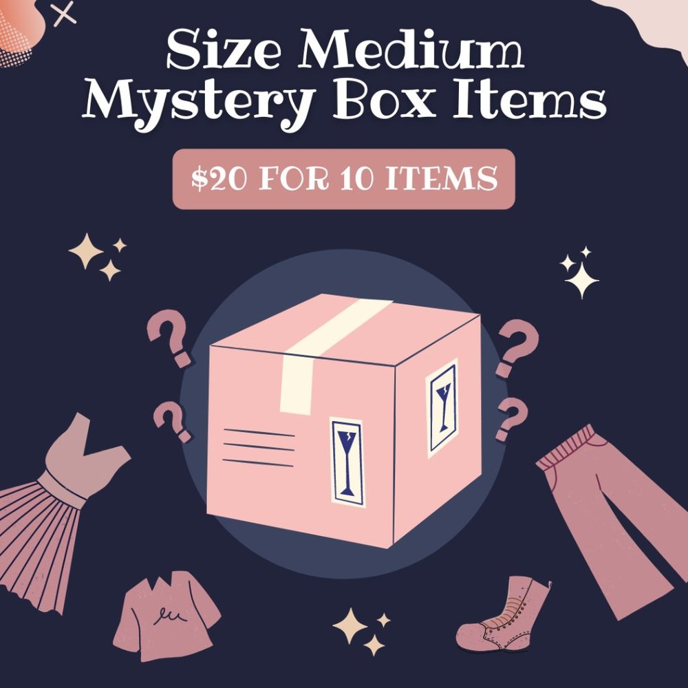 Mystery Box Women's Size Medium $20 for Ten Items